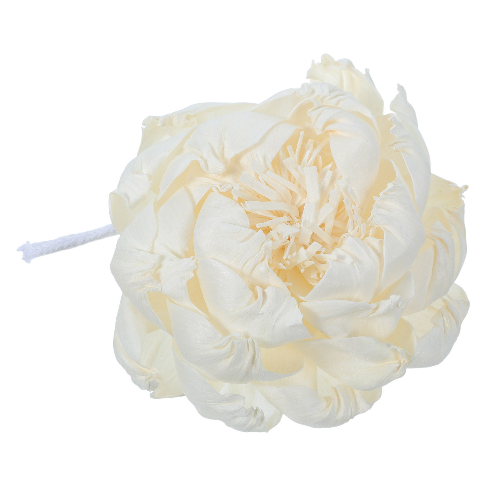 Peony Head Fragrance Diffuser  - Home Fragrance Oils ulasan dan harga