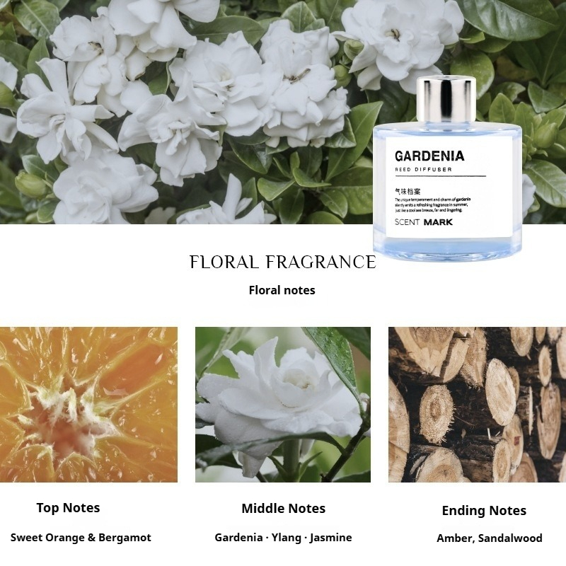 50ml Reed Diffuser Sets Rose L - Home Fragrance Jasmine Diffuser ulasan dan harga